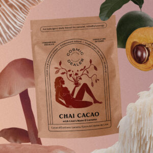 chai cacao cacao cru + champignons adaptogènes + lucuma cosmic dealer